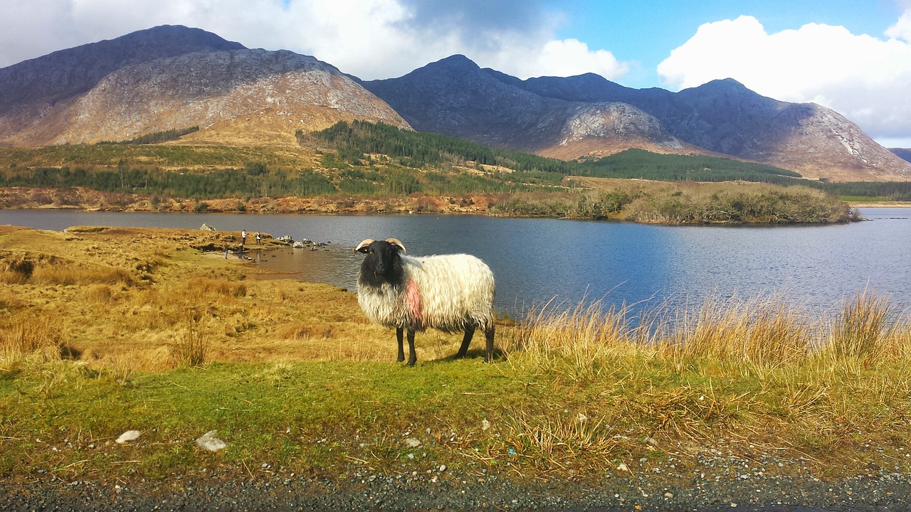 Paysage du Connemara en Irlande