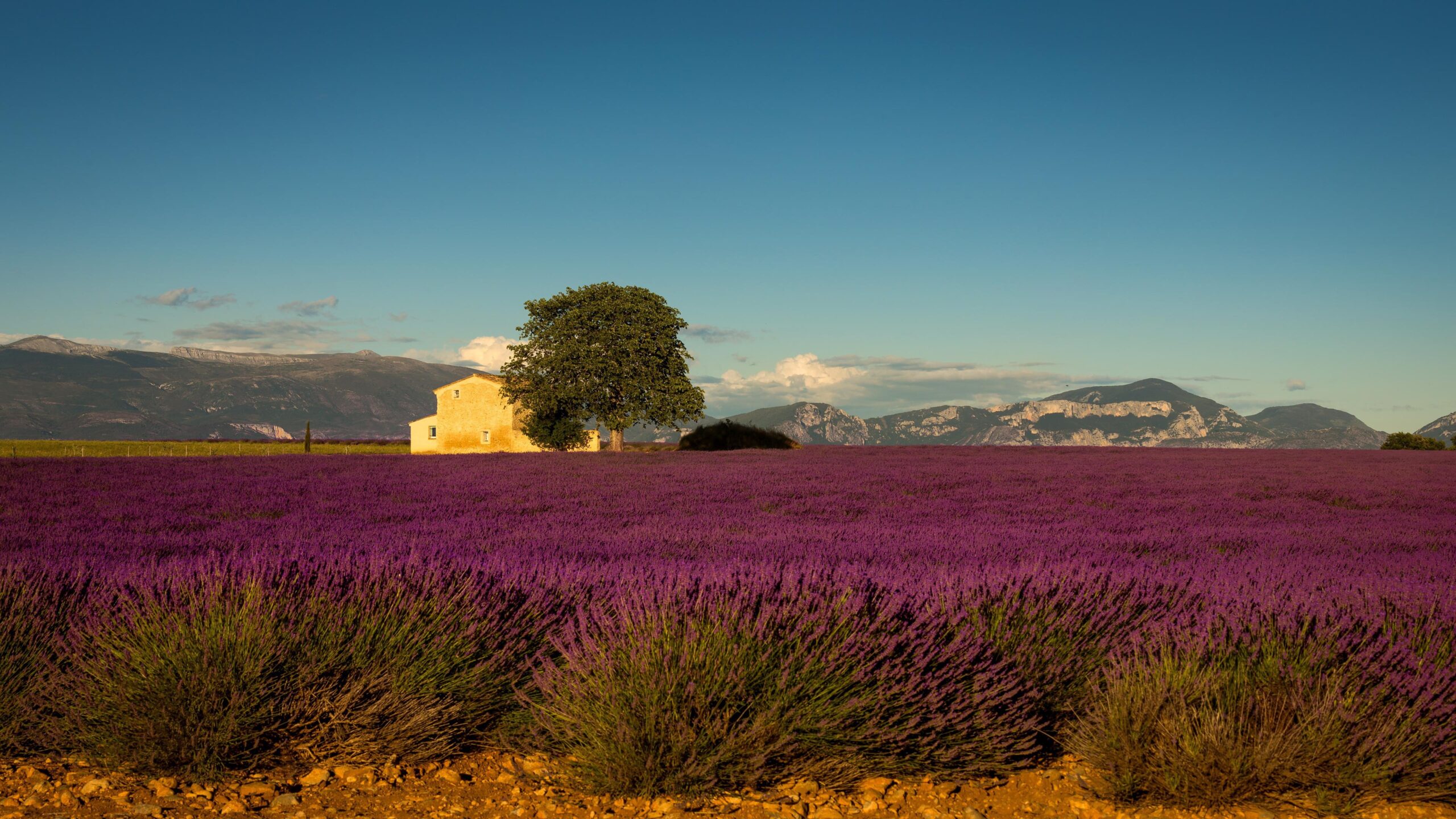 Paysage de Provence